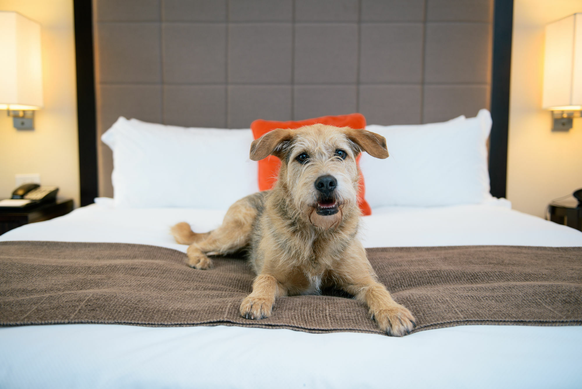 Candlewood Suites - Bluffton-Hilton Head By Ihg Bagian luar foto